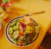 Regina-F-Rau_2013-08-13_Frohkostgipfel  (077).JPG